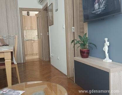 Stan/apartman, logement privé à Tivat, Monténégro - IMG-95fcb9bb2e146ff587410c2c0c7db370-V